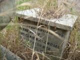 image of grave number 613552